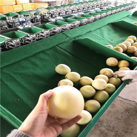 水果分果机 分选机 果蔬重量分级设备