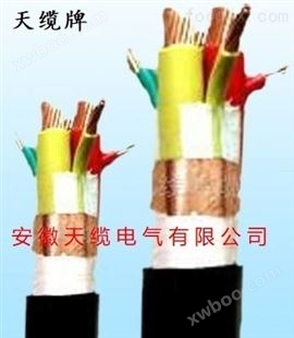 天缆BPGGP2P变频器屏蔽电缆/安徽天缆供应 豆腐生产线
