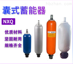 蓄能器NXQ1-L10皮囊