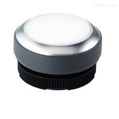 德國RAFIX帶燈自復位按鈕開關型號1.30.270.021