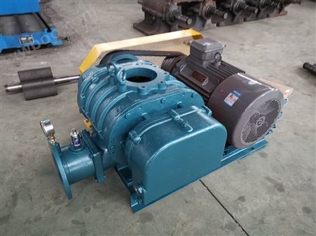 XLSR150型罗茨真空泵—湖南罗茨真空泵