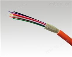 GJFJV-24B1电力复合光缆