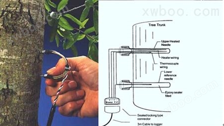 植物茎流监测系统MP400