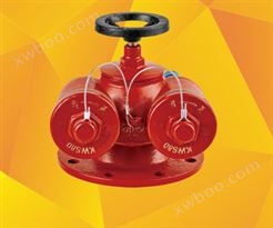 多用式消防水泵接合器（地上式）