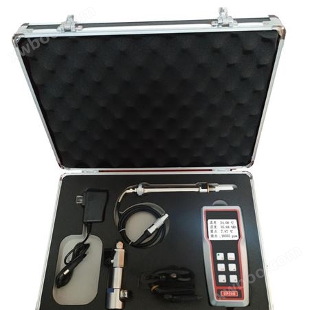 移动式水分检测仪DP70B 兰州手套箱检测传感器校准