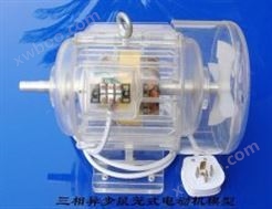MY-MX31三相鼠笼式电动机模型