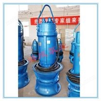 500型潜水轴流泵|QZB型潜水轴流泵|轴流泵厂家|轴流潜水泵|轴流泵价格