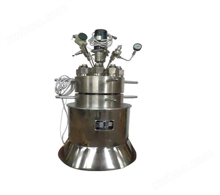 PPL内衬水热反应釜,水热合成反应釜,实验室小型反应釜