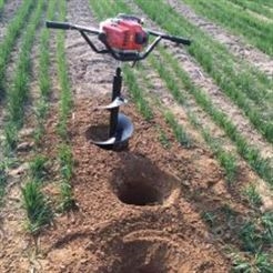 电线杆子手提挖坑机 二冲程农用挖坑机 果树种植打孔机批发