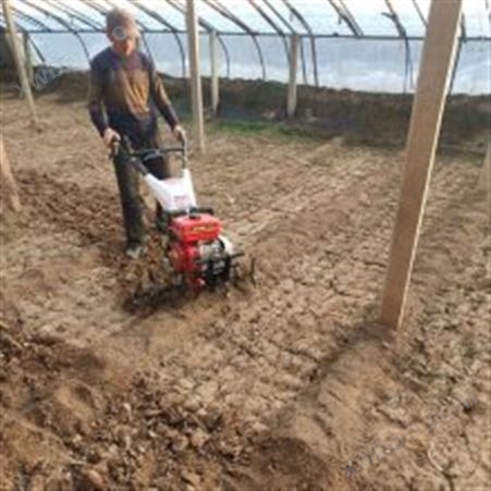 河南省柴油小型耕地机 农用土壤打田机 大棚耕地松土机视频