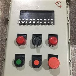 BXK防爆温控仪表箱-PLC触摸屏防爆控制箱IP65
