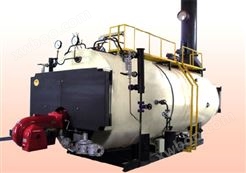 WNS系列燃气锅炉