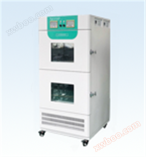 两箱药品稳定性试验箱