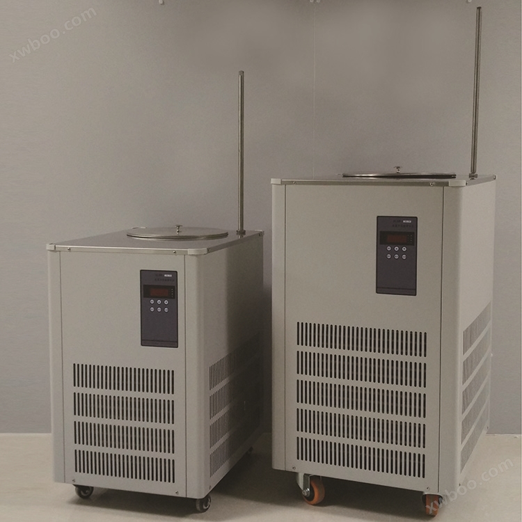DLSB-20L低温循环泵