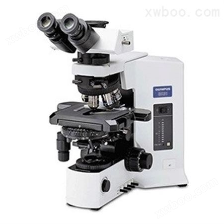 日本奥林巴斯金 OLYMPUS金相显微镜BX51M