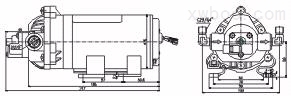 进口微型隔膜泵(图3)